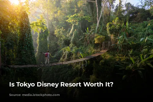 Is Tokyo Disney Resort Worth It?