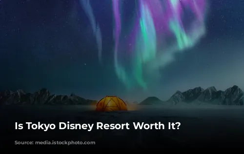 Is Tokyo Disney Resort Worth It?