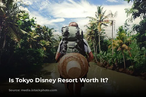 Is Tokyo Disney Resort Worth It?