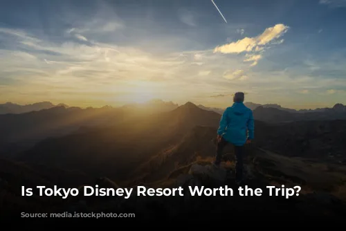 Is Tokyo Disney Resort Worth the Trip?