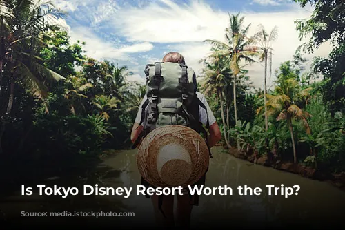 Is Tokyo Disney Resort Worth the Trip?