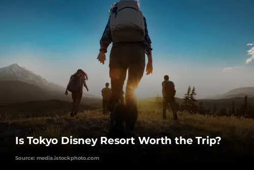 Is Tokyo Disney Resort Worth the Trip?