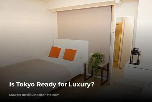 Is Tokyo Ready for Luxury?