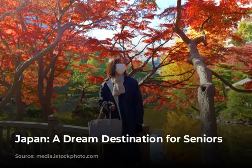 Japan: A Dream Destination for Seniors