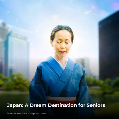 Japan: A Dream Destination for Seniors