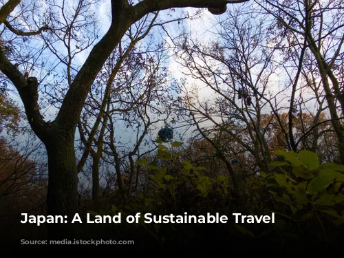 Japan: A Land of Sustainable Travel Adventures