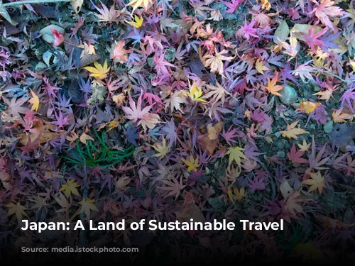 Japan: A Land of Sustainable Travel Adventures