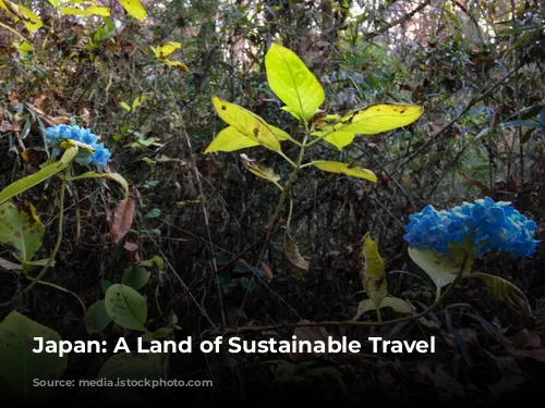 Japan: A Land of Sustainable Travel Adventures