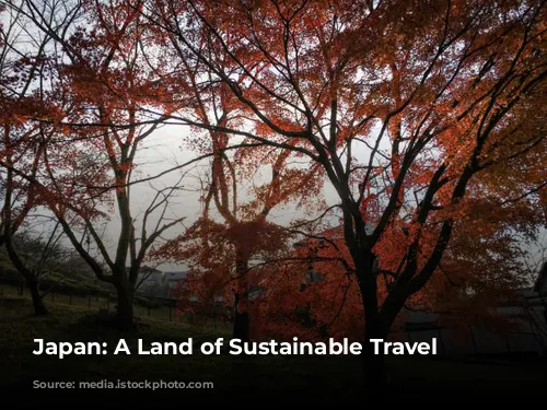 Japan: A Land of Sustainable Travel Adventures