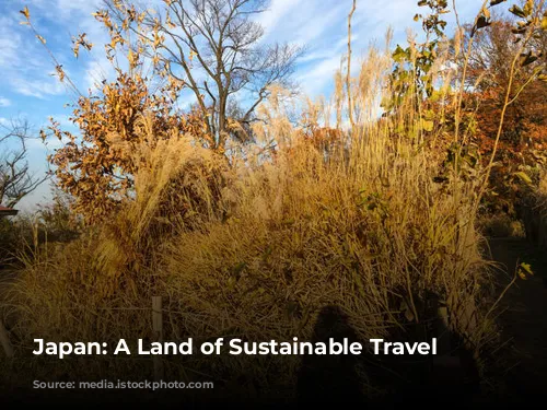 Japan: A Land of Sustainable Travel Adventures