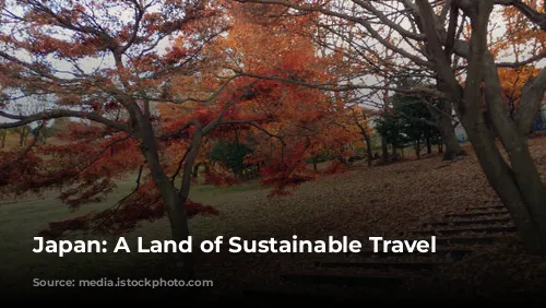 Japan: A Land of Sustainable Travel Adventures