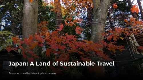 Japan: A Land of Sustainable Travel Adventures