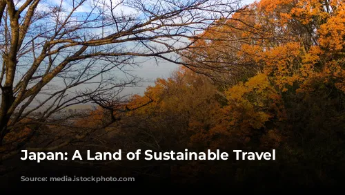 Japan: A Land of Sustainable Travel Adventures