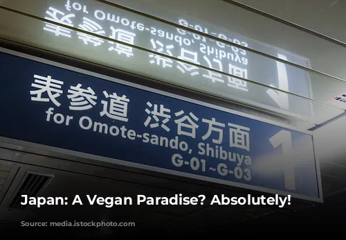 Japan: A Vegan Paradise? Absolutely!