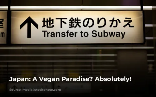 Japan: A Vegan Paradise? Absolutely!