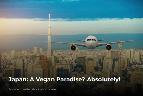 Japan: A Vegan Paradise? Absolutely!