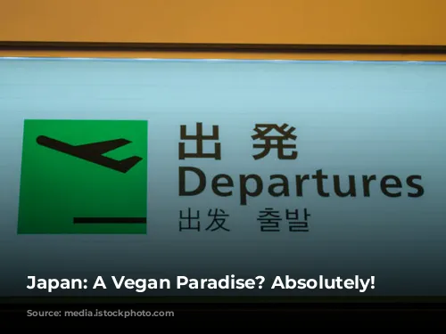 Japan: A Vegan Paradise? Absolutely!