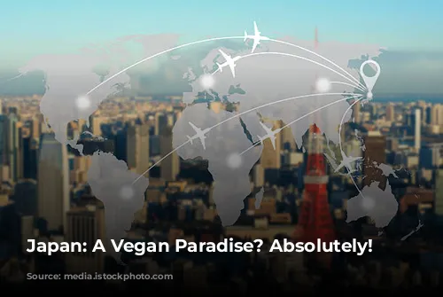 Japan: A Vegan Paradise? Absolutely!