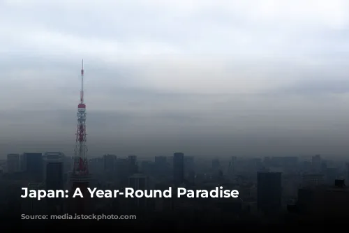 Japan:  A Year-Round Paradise