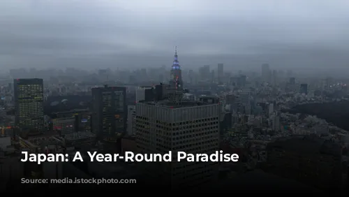 Japan:  A Year-Round Paradise