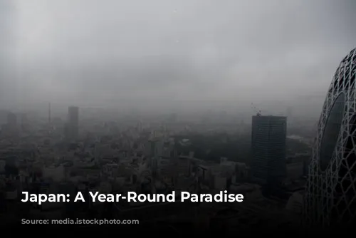 Japan:  A Year-Round Paradise