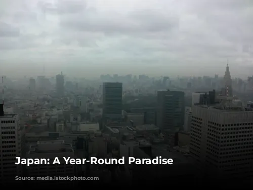 Japan:  A Year-Round Paradise