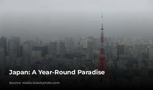 Japan:  A Year-Round Paradise