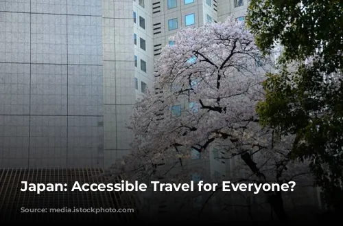 Japan: Accessible Travel for Everyone?