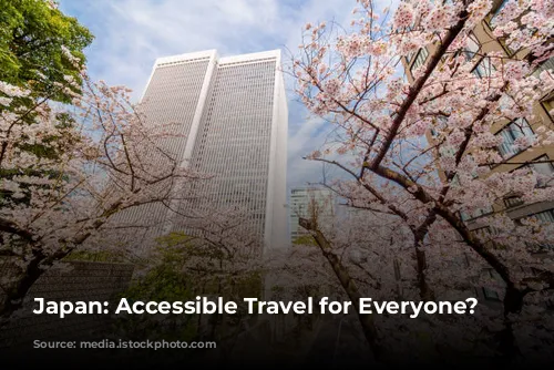 Japan: Accessible Travel for Everyone?