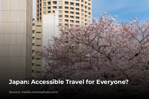 Japan: Accessible Travel for Everyone?