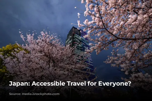 Japan: Accessible Travel for Everyone?