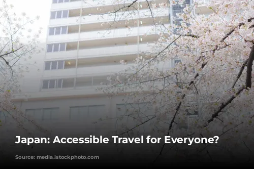 Japan: Accessible Travel for Everyone?