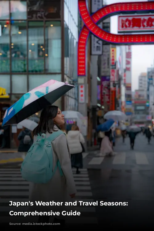 Japan's Weather and Travel Seasons: A Comprehensive Guide