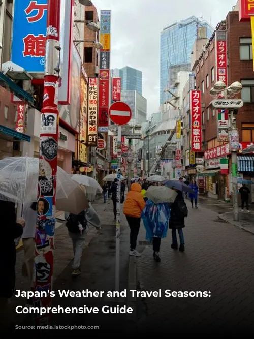 Japan's Weather and Travel Seasons: A Comprehensive Guide