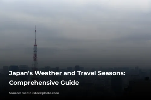 Japan's Weather and Travel Seasons: A Comprehensive Guide