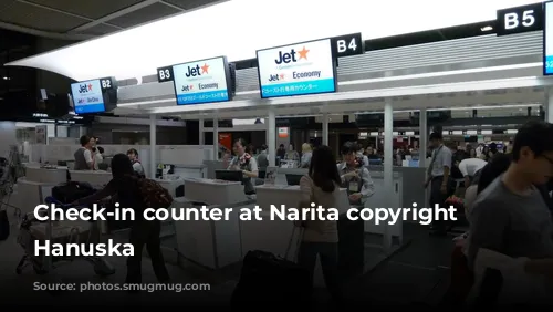 Check-in counter at Narita copyright Dushan Hanuska