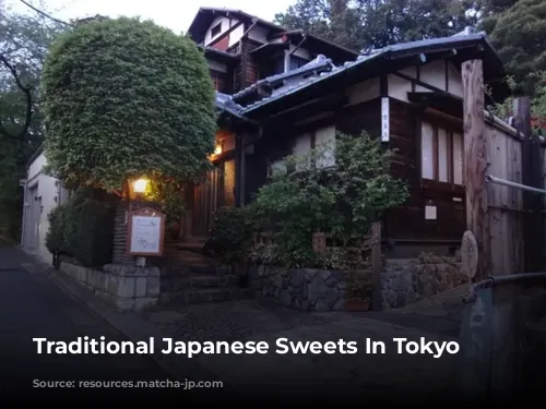 Traditional Japanese Sweets In Tokyo