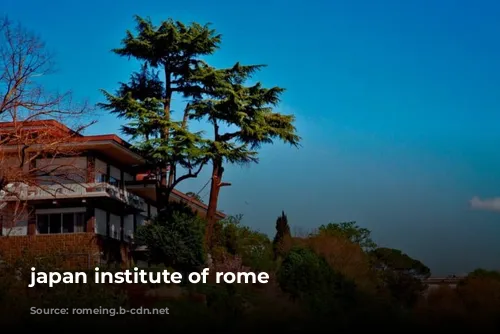 japan institute of rome