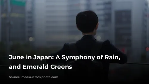 June in Japan: A Symphony of Rain, Festivals, and Emerald Greens