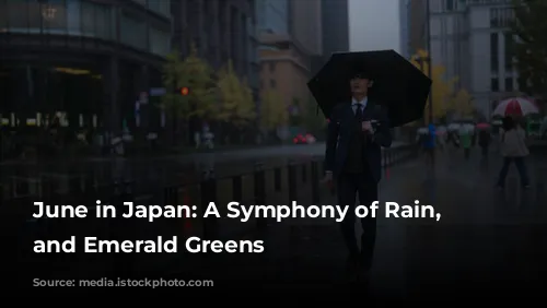 June in Japan: A Symphony of Rain, Festivals, and Emerald Greens