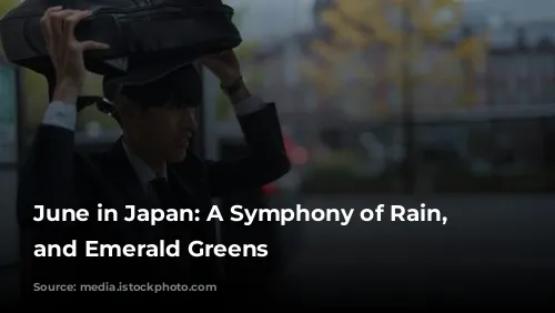 June in Japan: A Symphony of Rain, Festivals, and Emerald Greens