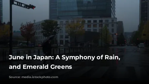 June in Japan: A Symphony of Rain, Festivals, and Emerald Greens