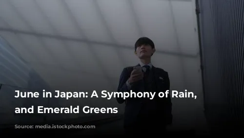 June in Japan: A Symphony of Rain, Festivals, and Emerald Greens