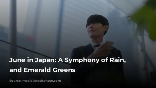 June in Japan: A Symphony of Rain, Festivals, and Emerald Greens