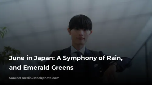 June in Japan: A Symphony of Rain, Festivals, and Emerald Greens