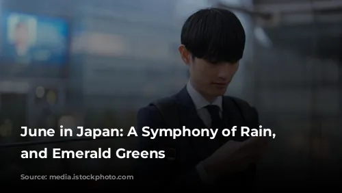 June in Japan: A Symphony of Rain, Festivals, and Emerald Greens