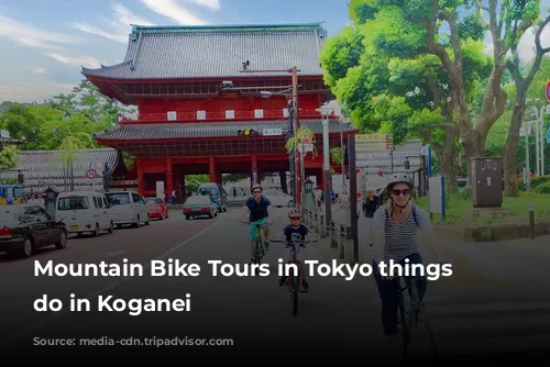 Mountain Bike Tours in Tokyo things to do in Koganei