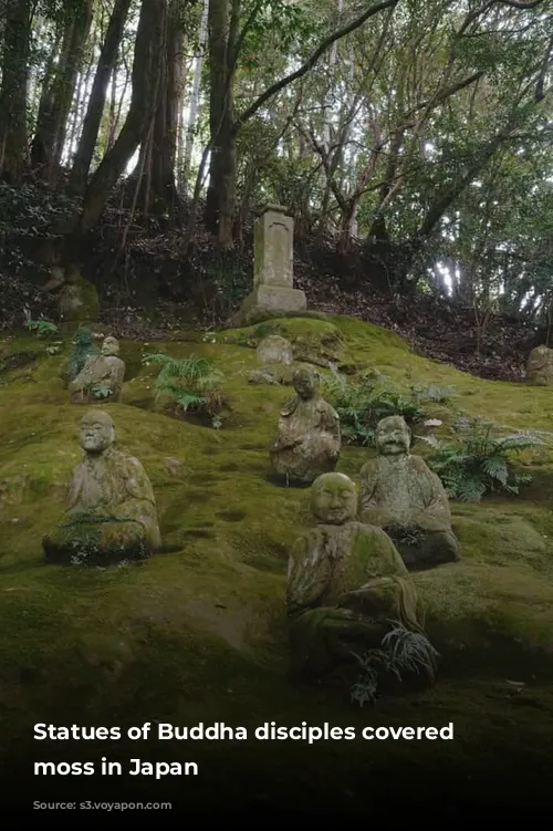 Statues of Buddha disciples covered in moss in Japan