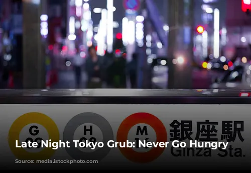 Late Night Tokyo Grub: Never Go Hungry Again!