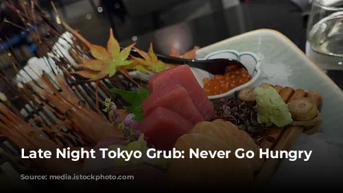 Late Night Tokyo Grub: Never Go Hungry Again!